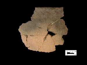 Shepard mended rim and body sherds from the Biggs Ford site 18FR14/116.113.